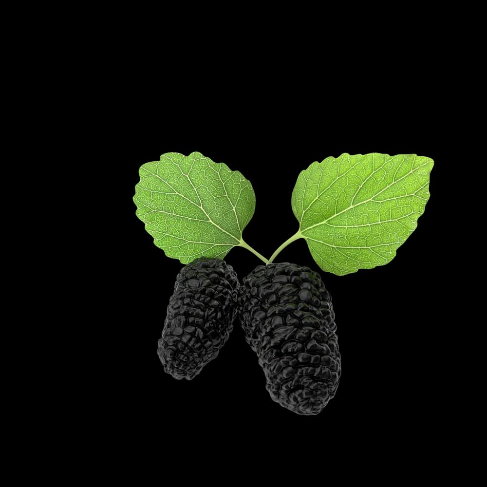 https://cdn.dummyjson.com/product-images/groceries/mulberry/1.webp