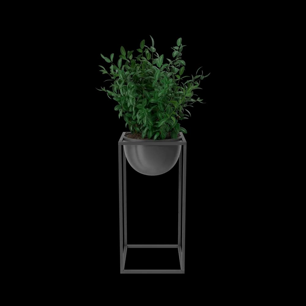 https://cdn.dummyjson.com/product-images/home-decoration/house-showpiece-plant/1.webp