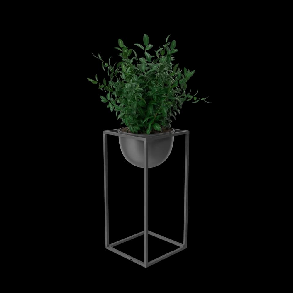 https://cdn.dummyjson.com/product-images/home-decoration/house-showpiece-plant/2.webp