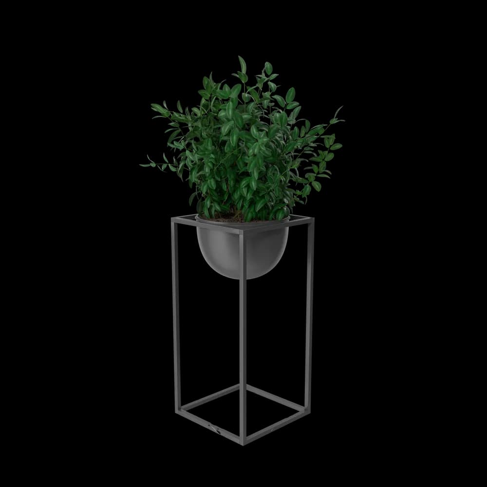 https://cdn.dummyjson.com/product-images/home-decoration/house-showpiece-plant/3.webp