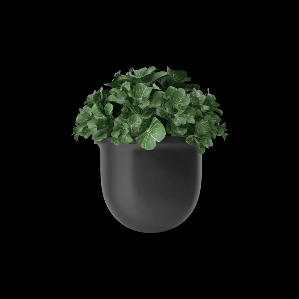 https://cdn.dummyjson.com/product-images/home-decoration/plant-pot/2.webp