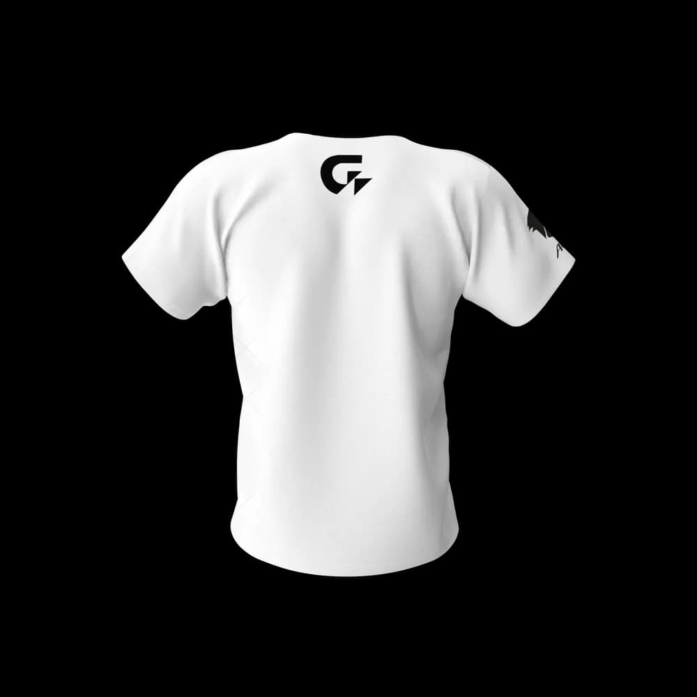 https://cdn.dummyjson.com/product-images/mens-shirts/gigabyte-aorus-men-tshirt/3.webp