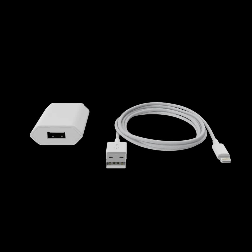 https://cdn.dummyjson.com/product-images/mobile-accessories/apple-iphone-charger/1.webp